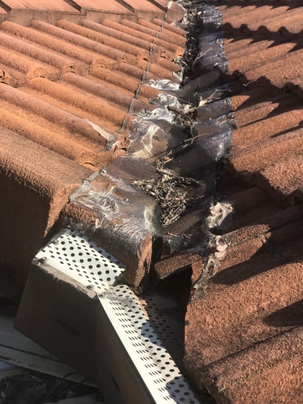 Replaced Gutter Guard Gold Coast Gutter Guard
